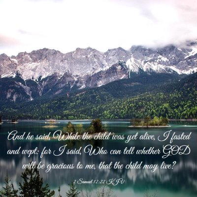 Picture 03 - 2 Samuel 12:22 KJV - And he said, While the child was yet alive, I - Bible Verse Picture
