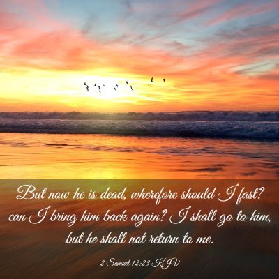 Picture 03 - 2 Samuel 12:23 KJV - But now he is dead, wherefore should I fast? can - Bible Verse Picture