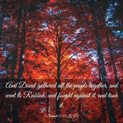 Picture 03 - 2 Samuel 12:29 KJV - And David gathered all the people together, and - Bible Verse Picture
