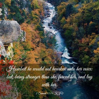 Picture 03 - 2 Samuel 13:14 KJV - Howbeit he would not hearken unto her voice: but, - Bible Verse Picture