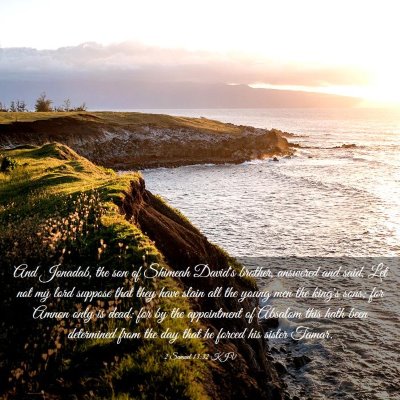 Picture 03 - 2 Samuel 13:32 KJV - And Jonadab, the son of Shimeah David's brother, - Bible Verse Picture