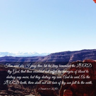Picture 03 - 2 Samuel 14:11 KJV - Then said she, I pray thee, let the king remember - Bible Verse Picture