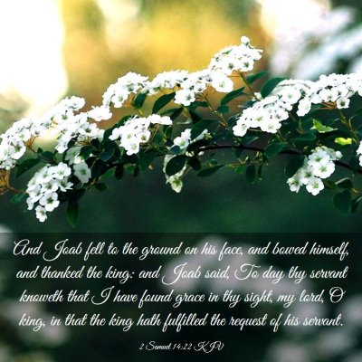 Picture 03 - 2 Samuel 14:22 KJV - And Joab fell to the ground on his face, and - Bible Verse Picture