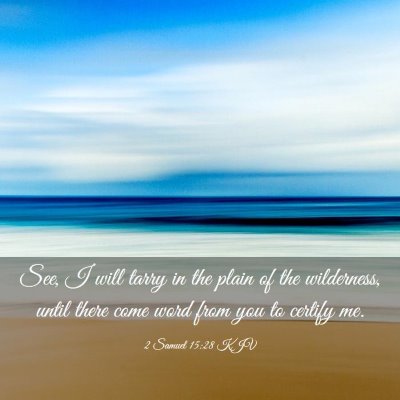 Picture 03 - 2 Samuel 15:28 KJV - See, I will tarry in the plain of the wilderness, - Bible Verse Picture