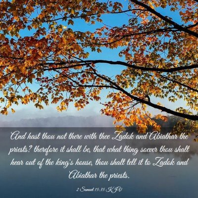 Picture 03 - 2 Samuel 15:35 KJV - And hast thou not there with thee Zadok and - Bible Verse Picture