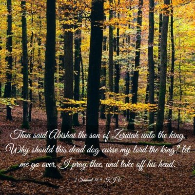 Picture 03 - 2 Samuel 16:9 KJV - Then said Abishai the son of Zeruiah unto the - Bible Verse Picture