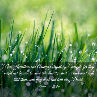 Picture 03 - 2 Samuel 17:17 KJV - Now Jonathan and Ahimaaz stayed by Enrogel; for - Bible Verse Picture