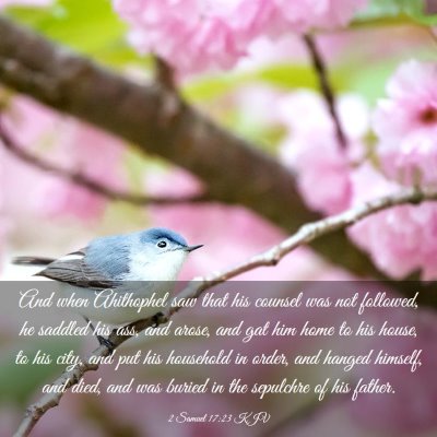Picture 03 - 2 Samuel 17:23 KJV - And when Ahithophel saw that his counsel was not - Bible Verse Picture
