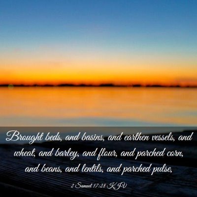 Picture 03 - 2 Samuel 17:28 KJV - Brought beds, and basins, and earthen vessels, - Bible Verse Picture