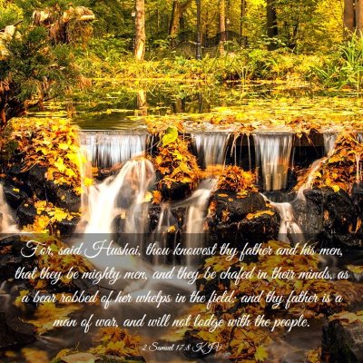 Picture 03 - 2 Samuel 17:8 KJV - For, said Hushai, thou knowest thy father and his - Bible Verse Picture