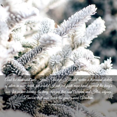 Picture 03 - 2 Samuel 18:12 KJV - And the man said unto Joab, Though I should - Bible Verse Picture