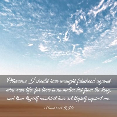 Picture 03 - 2 Samuel 18:13 KJV - Otherwise I should have wrought falsehood against - Bible Verse Picture