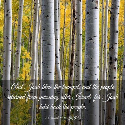 Picture 03 - 2 Samuel 18:16 KJV - And Joab blew the trumpet, and the people - Bible Verse Picture