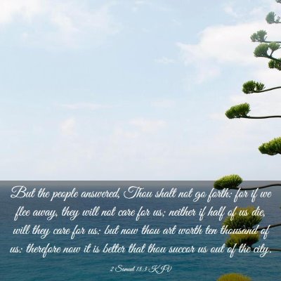 Picture 03 - 2 Samuel 18:3 KJV - But the people answered, Thou shalt not go forth: - Bible Verse Picture