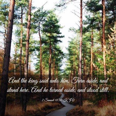Picture 03 - 2 Samuel 18:30 KJV - And the king said unto him, Turn aside, and stand - Bible Verse Picture