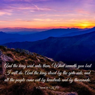 Picture 03 - 2 Samuel 18:4 KJV - And the king said unto them, What seemeth you - Bible Verse Picture