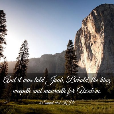 Picture 03 - 2 Samuel 19:1 KJV - And it was told Joab, Behold, the king weepeth - Bible Verse Picture