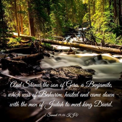 Picture 03 - 2 Samuel 19:16 KJV - And Shimei the son of Gera, a Benjamite, which - Bible Verse Picture