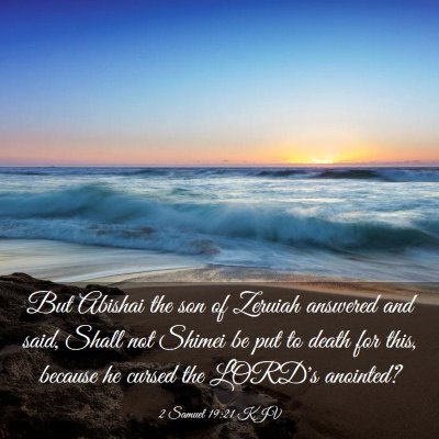 Picture 03 - 2 Samuel 19:21 KJV - But Abishai the son of Zeruiah answered and said, - Bible Verse Picture