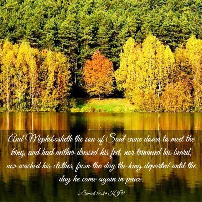 Picture 03 - 2 Samuel 19:24 KJV - And Mephibosheth the son of Saul came down to - Bible Verse Picture