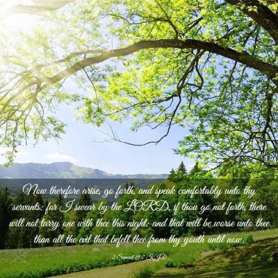 Picture 03 - 2 Samuel 19:7 KJV - Now therefore arise, go forth, and speak - Bible Verse Picture