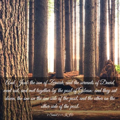 Picture 03 - 2 Samuel 2:13 KJV - And Joab the son of Zeruiah, and the servants of - Bible Verse Picture