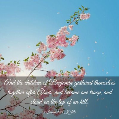 Picture 03 - 2 Samuel 2:25 KJV - And the children of Benjamin gathered themselves - Bible Verse Picture