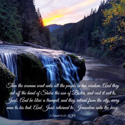 Picture 03 - 2 Samuel 20:22 KJV - Then the woman went unto all the people in her - Bible Verse Picture