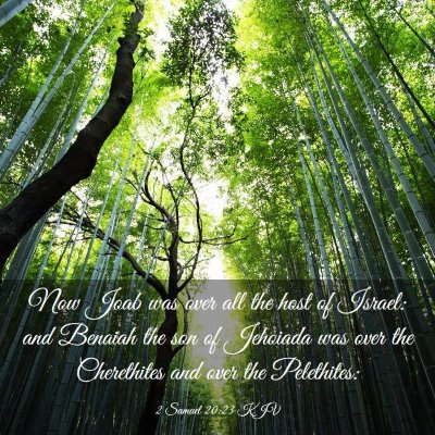Picture 03 - 2 Samuel 20:23 KJV - Now Joab was over all the host of Israel: and - Bible Verse Picture