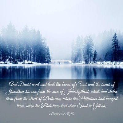 Picture 03 - 2 Samuel 21:12 KJV - And David went and took the bones of Saul and the - Bible Verse Picture