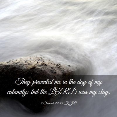 Picture 03 - 2 Samuel 22:19 KJV - They prevented me in the day of my calamity: but - Bible Verse Picture