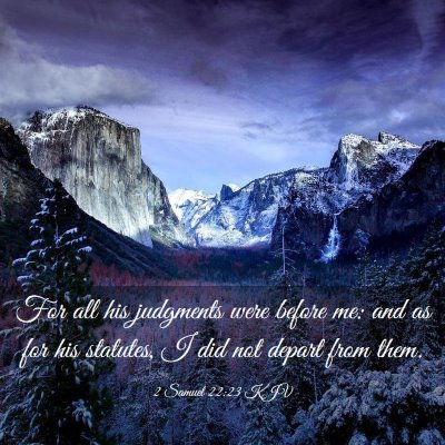 Picture 03 - 2 Samuel 22:23 KJV - For all his judgments were before me: and as for - Bible Verse Picture