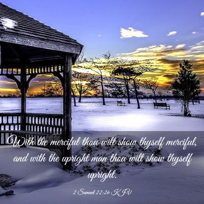 Picture 03 - 2 Samuel 22:26 KJV - With the merciful thou wilt show thyself - Bible Verse Picture