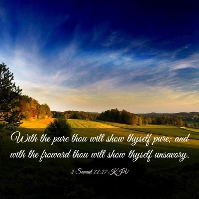 Picture 03 - 2 Samuel 22:27 KJV - With the pure thou wilt show thyself pure; and - Bible Verse Picture
