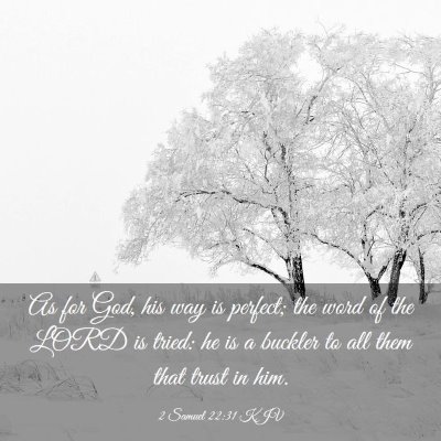 Picture 03 - 2 Samuel 22:31 KJV - As for God, his way is perfect; the word of the - Bible Verse Picture