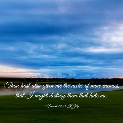 Picture 03 - 2 Samuel 22:41 KJV - Thou hast also given me the necks of mine - Bible Verse Picture