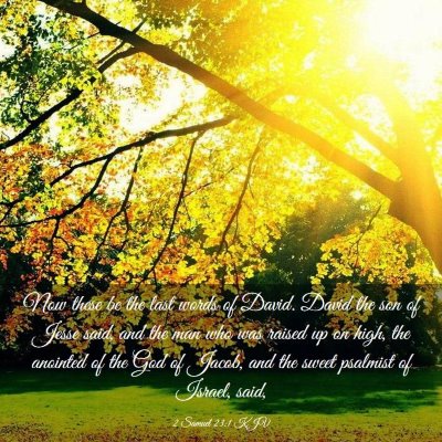 Picture 03 - 2 Samuel 23:1 KJV - Now these be the last words of David. David the - Bible Verse Picture