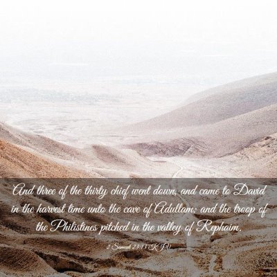 Picture 03 - 2 Samuel 23:13 KJV - And three of the thirty chief went down, and came - Bible Verse Picture