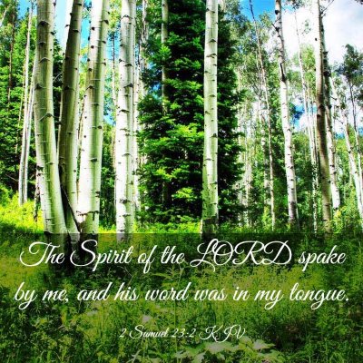 Picture 03 - 2 Samuel 23:2 KJV - The Spirit of the LORD spake by me, and his word - Bible Verse Picture