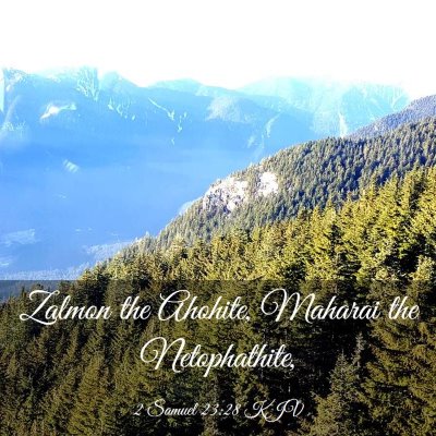 Picture 03 - 2 Samuel 23:28 KJV - Zalmon the Ahohite, Maharai the - Bible Verse Picture