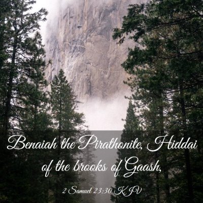 Picture 03 - 2 Samuel 23:30 KJV - Benaiah the Pirathonite, Hiddai of the brooks of - Bible Verse Picture