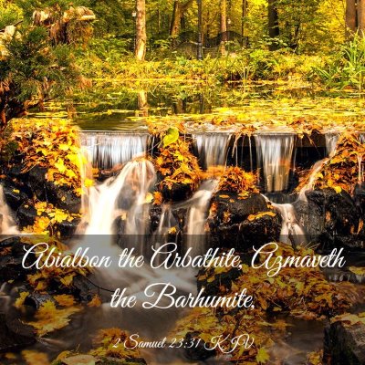 Picture 03 - 2 Samuel 23:31 KJV - Abialbon the Arbathite, Azmaveth the - Bible Verse Picture