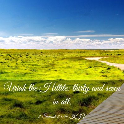 Picture 03 - 2 Samuel 23:39 KJV - Uriah the Hittite: thirty and seven in - Bible Verse Picture