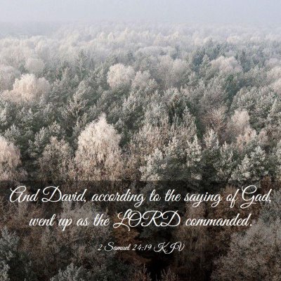 Picture 03 - 2 Samuel 24:19 KJV - And David, according to the saying of Gad, went - Bible Verse Picture