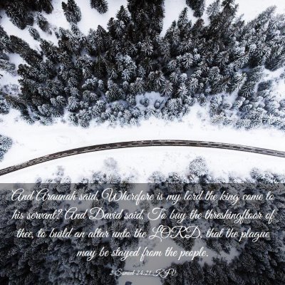 Picture 03 - 2 Samuel 24:21 KJV - And Araunah said, Wherefore is my lord the king - Bible Verse Picture