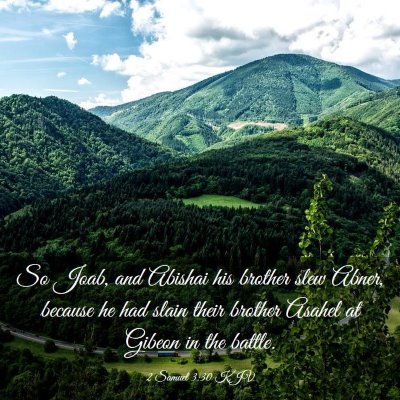 Picture 03 - 2 Samuel 3:30 KJV - So Joab, and Abishai his brother slew Abner, - Bible Verse Picture