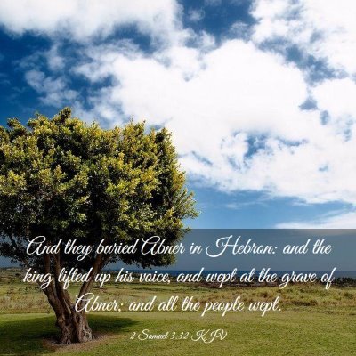 Picture 03 - 2 Samuel 3:32 KJV - And they buried Abner in Hebron: and the king - Bible Verse Picture