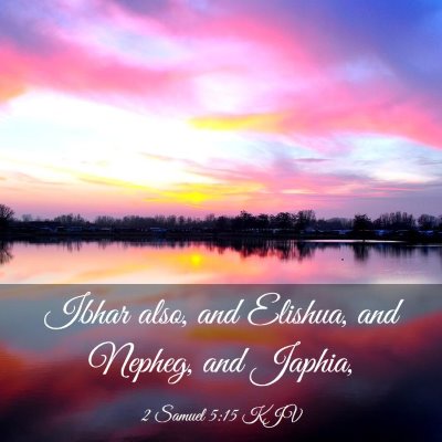 Picture 03 - 2 Samuel 5:15 KJV - Ibhar also, and Elishua, and Nepheg, and - Bible Verse Picture