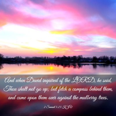 Picture 03 - 2 Samuel 5:23 KJV - And when David inquired of the LORD, he said, - Bible Verse Picture
