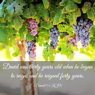 Picture 03 - 2 Samuel 5:4 KJV - David was thirty years old when he began to - Bible Verse Picture